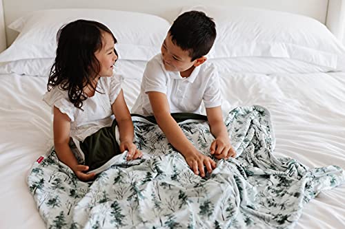 Pobi Baby Premium Baby Blanket, Soft Stretchy Quilt For Babies, Toddlers, Kids (Magical Woods) #TOP5