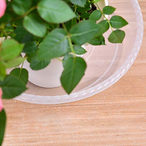 CandyHome 6 Pieces of 10 Inch Plastic Clear Plant Saucers Pot Trays for Indoor Outdoor Household and Garden Assorted, 1-White