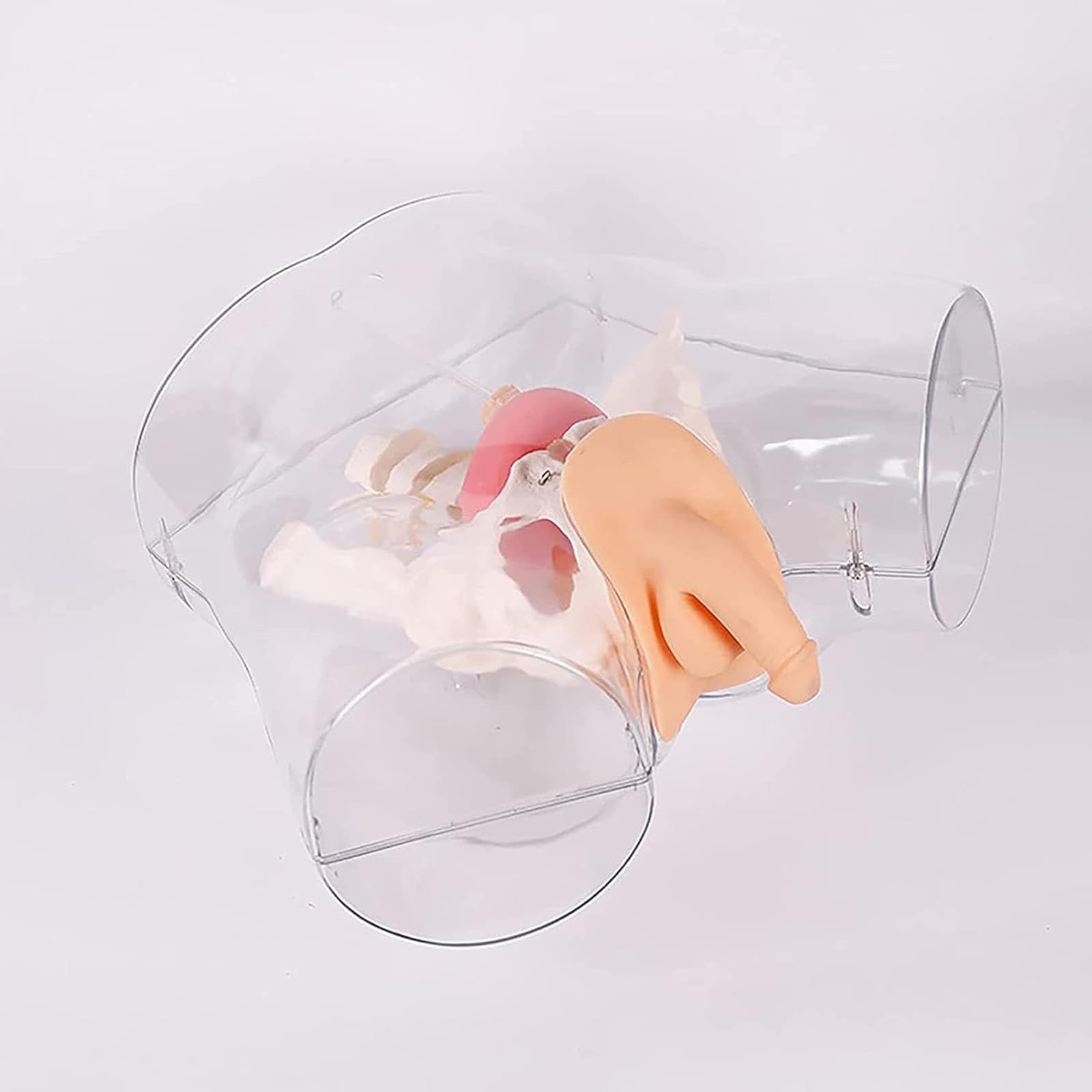 Modèle de Cathétérisme Masculin, Modèle D'enseignement de Mannequin, Modèle de Cathétérisme Masculin Transparent Avancé pour La Pratique des Médecins et des Infirmières