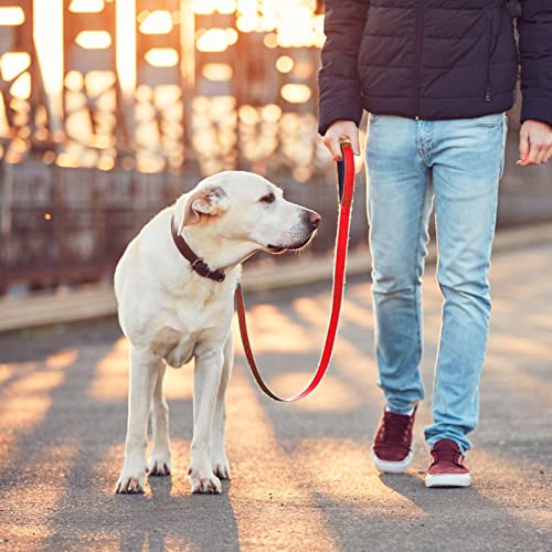 TIESOME Kurze Hundeleine mit gepolstertem Griff, doppeltes Gurtband Nylon reflektierende Haustier Leinen Hundeleine für Walking Training (Rot)