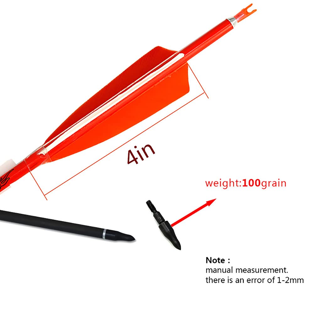 ACCMOS Spine 800 Flechas de Carbono 31" con 4" Pluma Natural, para Arco Largo Arco Recurvo Arco Compuesto Tiro al Arco Caza 12pz (12pcs, Spine 800)