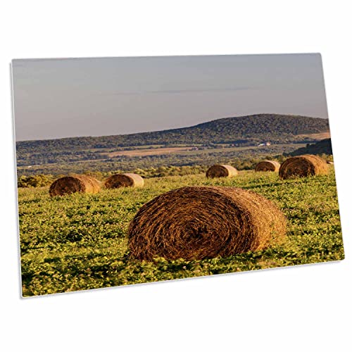 3dRose Hay Bales en campo, tapete para escritorio 23x16"