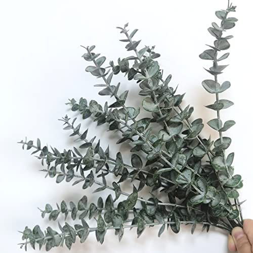 15 pcs Artificielle Tige D'eucalyptus Feuilles D'eucalyptus Artificielles Gris Vert pour Arrangement Floral Bouquet De Mariage Décor à la Maison Fête Décoration D'intérieur Cover