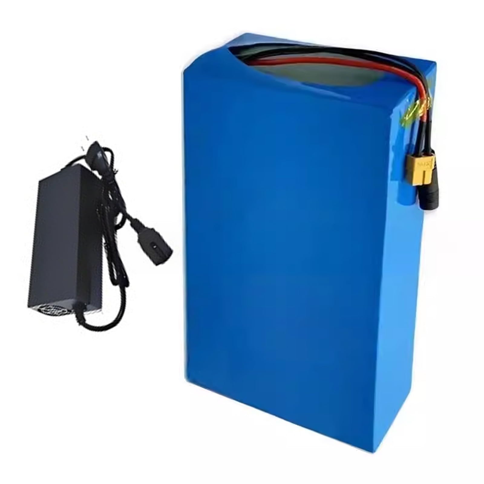 Batteria per bicicletta elettrica Pedelec Pesce d'argento 48 V 12 Ah per MiFa Rex per Aldi Bike, adatta per Phylion/XH370-10J, ZL1010101 0-F, adatta per motori da 48 V con caricatore