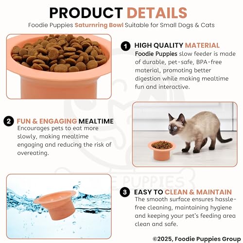 Image of Foodie Puppies Cat Food and Water Feeder (SaturnRing Bowl, Pack of 2) | Durable, Anti Vomiting, Healthy Cat Bowl for Persian Cat Prevent Tipping Over | Elevated Feeder for Cats and Small Dogs