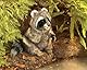 Folkmanis 3075 Raccoon Hand Puppet, Graubraun