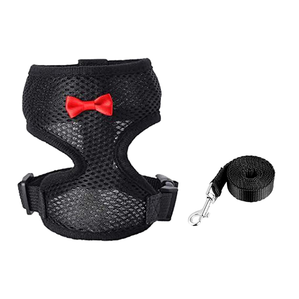 FGDTREE Chicken Harness 3 Size with Matching Leash Comfortable Breathable Fashionable Hen Vest Suitable for Duck Pet Rooster Harness with Leash Small Large