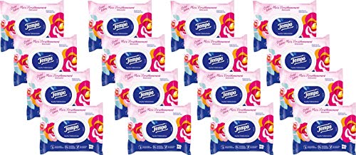 Preisvergleich Produktbild Tempo Toilettenpapier Feuchte Limitierte Edition Blütenzauber