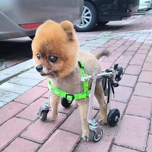 Silla de ruedas ajustable para perro, ayuda a la movilidad para displasia de cadera, soporta patas traseras, ideal para actividades al aire libre y mascotas activas