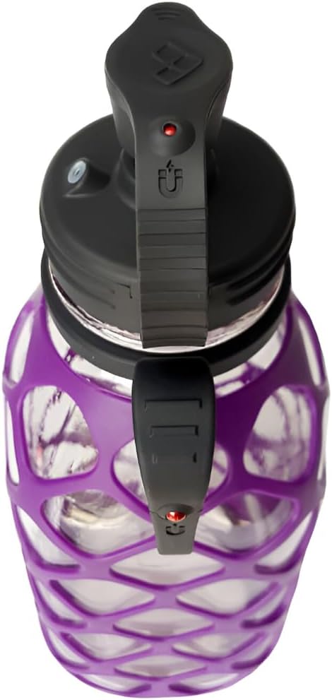 With Glass Straw - Plum Purple - Plastic-Free, BPA-Free, Phthalate-Free Glass Water Bottle - 32 oz