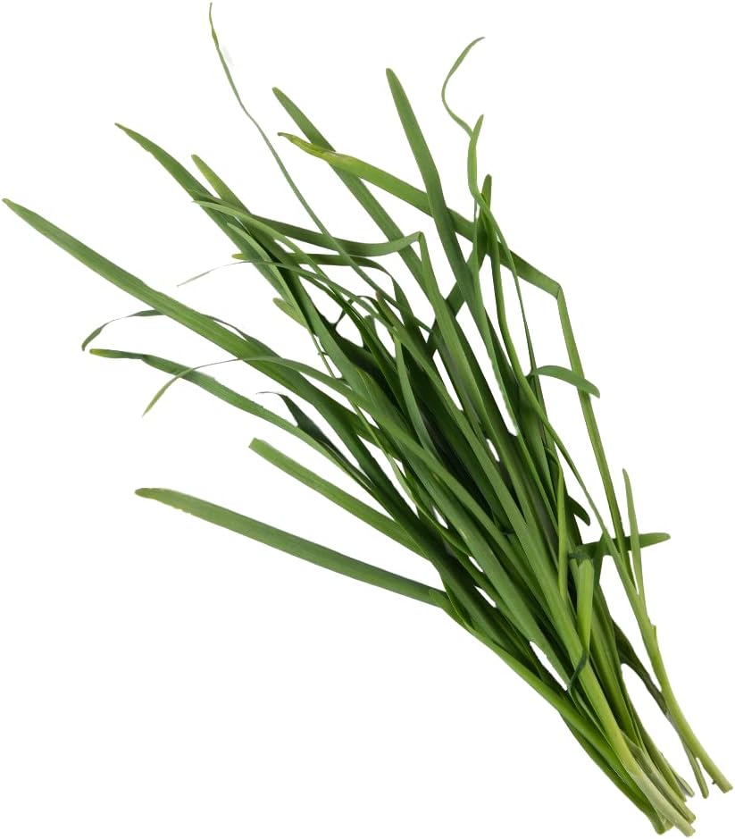 Lettuce Grow Garlic Chives Seedlings Pack 6 Live Plants