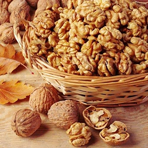 Top 10 Best Walnut Brands (Akhrot) In India 2023