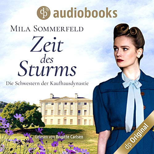 Cover art for Zeit des Sturms