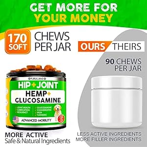 Hemp-Hip-and-Joint-Supplement-for-Dogs-Glucosamine-for-Dogs-170-Dog-Joint-Pain-Relief-Treats-Chondroitin-Hemp-Oil-MSM-Mobility-Flexibility-Support-Advanced-Joint-Health-Made-in-USA - Cucciolini Doodles   Hemp-Hip-and-Joint-Supplement-for-Dogs-Glucosamine-for-Dogs-170-Dog-Joint-Pain-Relief-Treats-Chondroitin-Hemp-Oil-MSM-Mobility-Flexibility-Support-Advanced-Joint-Health-Made-in-USA