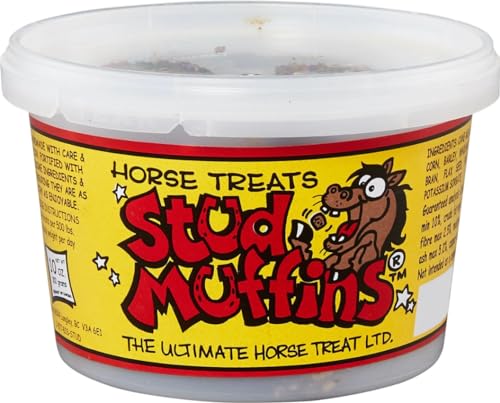 Stud Muffins, Horse Treats, Stud Muffins for Horses, Treats for H...