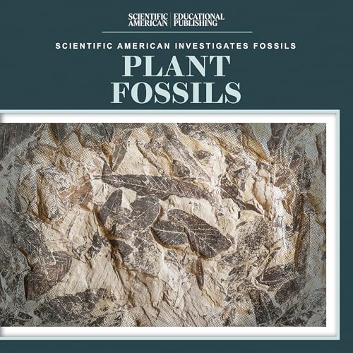 Plant Fossils (Scientific American Investigates Fossils)
