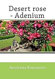 Desert rose-Adenium