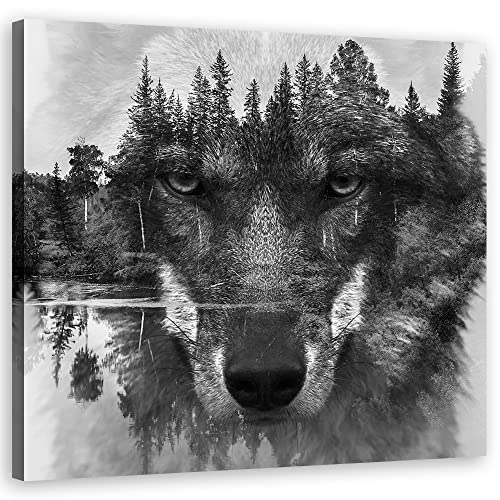 Tableau loup noir et blanc 50x50 Feeby deco lac foret