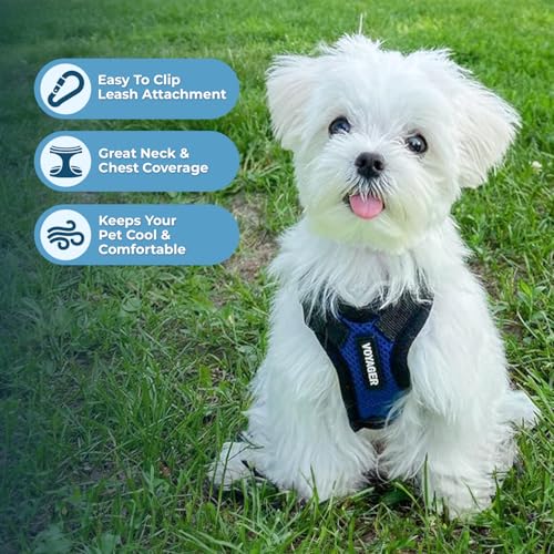 Image of Best Pet Supplies Voyager Step-in Lock Pet Harness w Reflective Pet Leash Combo Set with Neoprene Handle 5ft - Supports Small, Medium and Large Breed Puppies /Cats - Royal Blue /Black Trim, XS