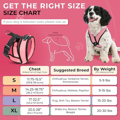 Image of Gooby Comfort X Head-in Dog Harness, Choke-Free, Pink, Medium | Patented choke-free X-frame; Secure head-in fit; Lightweight breathable mesh; Back metal D-ring; Machine washable