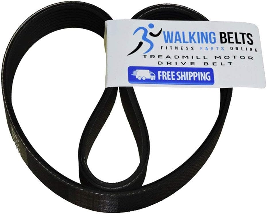 WALKINGBELTS Walking Belts LLC - Triumph R 7.3T Treadmill Motor Drive Belt + Free 1oz Lube