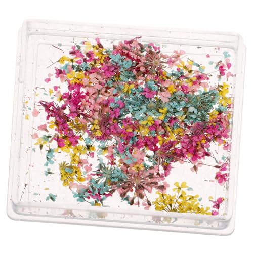 Decoración Floral Secada para Uñas Ipetboom miniatura 1