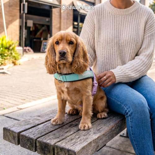 Image of Spark Paws No Pull Front Clip Dog Harness - Easy On, Padded and Lightweight