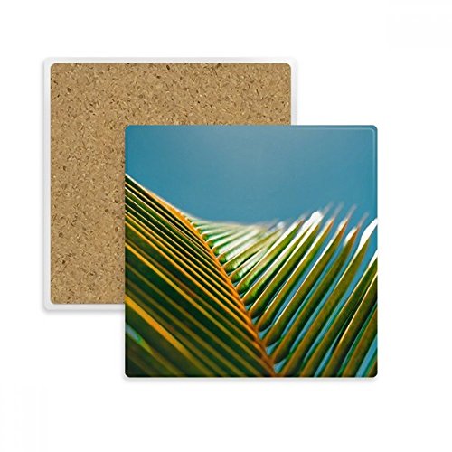Coaster tasse pierre absorbante contre les traces d'eau
