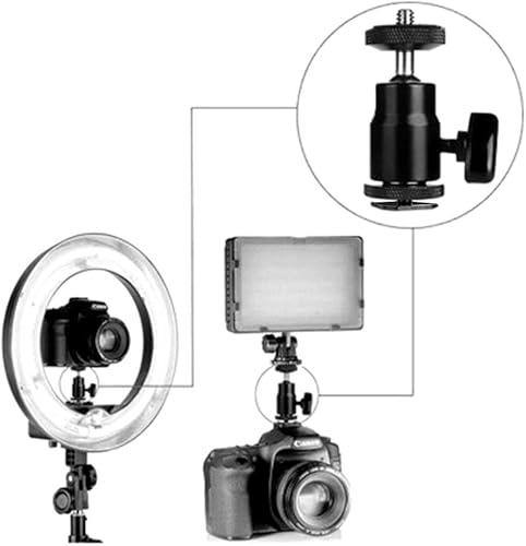 Miniatura 5 de SLOW DOLPHIN Soporte de zapata caliente para cámara de 14 pulgadas con adaptador de tornillo de 14 pulgadas para cámaras, videocámaras, teléfono