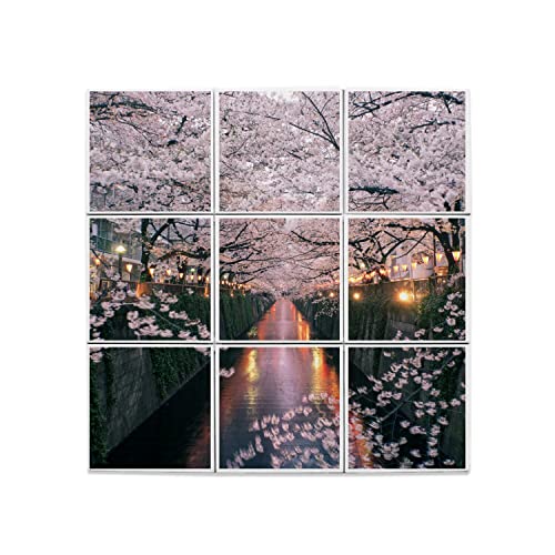 Carreaux Céramique Décoratif Japon pour Rénover un Mur Vide Motif Sakura 60x60