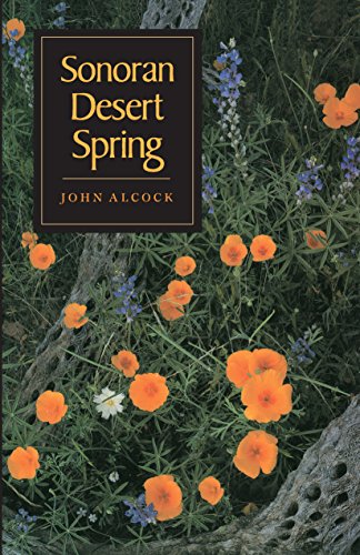 Sonoran Desert Spring (English Edition)