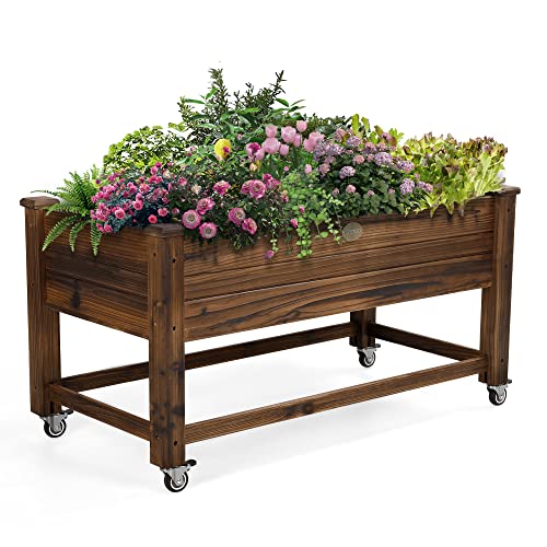 Oiprtgfj Raised Garden Beds Elevated Wood Planter Box Stand ，Mobile Planter Raised Beds With Locking Wheels 41 * 21 * 20Inch For Children Herbs Vegetables Flowers Great For Outdoor Patio Deck Balcony #TOP5