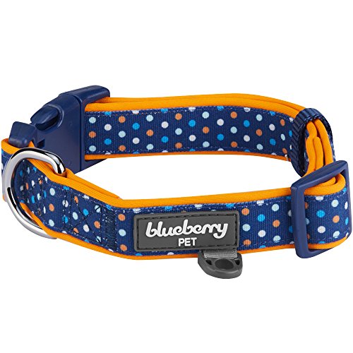 Blueberry Pet Polka Dots Collar Detailed Review Dog Products Guide