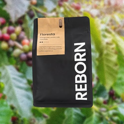 Café Reborn Specialty Grano Entero Tostado Medio 12 oz miniatura 6