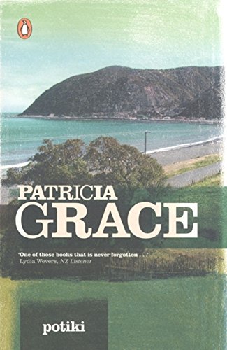 Potiki view 2