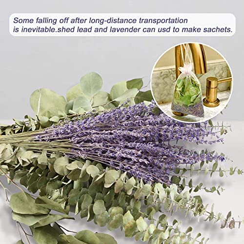 120 Pcs Mix Dried Eucalyptus Stems & Lavender Flowers For Shower - 17'' Real Large Silver Dollar Leaves Branches, Fresh Hanging Plants For Vase, Natural Fragrance, Home Aromatic, Wedding Decor #TOP5