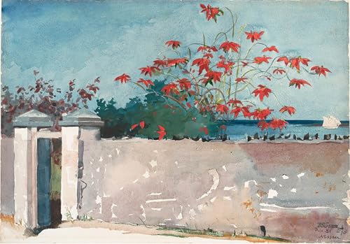 Peinture pour décoration salon : impression sur toile Nassau de Winslow Homer 60x90cm