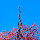 チ。 ―地球の運動につ