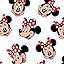 Disney: Minnie Mouse Divertido Disney: Minnie Mouse Divertido