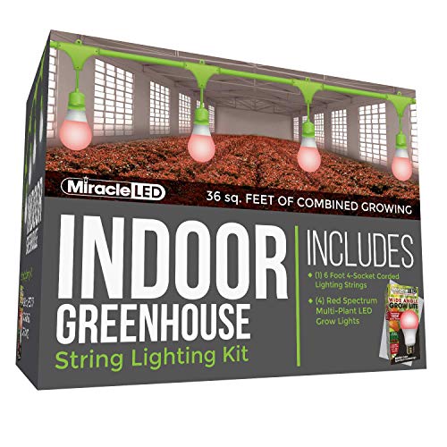 Amazing 🔥 Miracle LED 4-Socket 6ft Corded Indoor Greenhouse Kit with 4 Red Spectrum Fruiting & Flowering Wide Angle Multi-Plant Grow Lights Replacing 150W Each