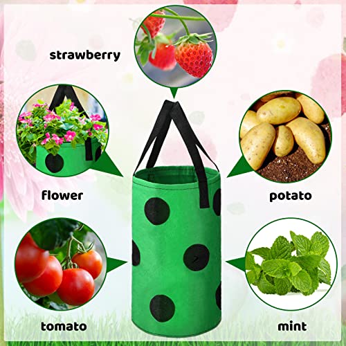Upside Down Planter Tomato Herb Strawberry Grow Bags Garden Growing Bags Aeration Fabric Planter Bags With Grow Pouches Plant Growing Hanger Bag For Garden Plants (13 Holes Style, 6 Pack) #TOP1
