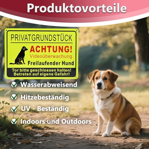 FLEXNOVA Vorsicht Hund Schild, 20x 30cm Warnung Vor Dem Hund Schilder Privatgrundstuck Warnschild Achtung Hund Vorsicht Bissiger Schild Aluminium mit Selbstklebend Vorgebohrten Löchern