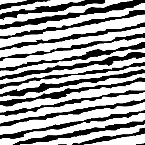  Wave Function