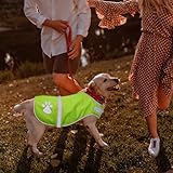 Warnweste für Hunde, Abeillo Pet Hunde Warnwesten, Hund Sicherheit Reflektierende Weste, Verstellbar Hundejacke für Outdoor Aktivitäten Spaziergänge im Dunkeln (Helle Grün)