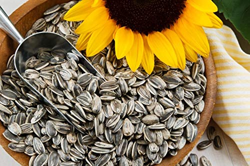 Amijivdaya Sunflower Seed Bird Food, 5 kg (B07LG553YS) Amazon Price History, Amazon Price Tracker