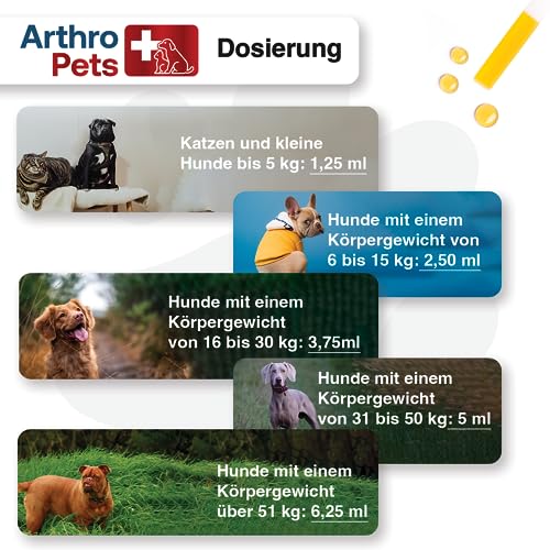 ArthroPets+ Alternative zu Gelenktabletten für Hunde und Katzen, Gelenk-komplex aus 9 hochkonzentrierten Wirkstoffen auf Lachsölbasis, Gelenkschutz für Hunde und Katzen, Omega 3, VIT. D3-100 ml