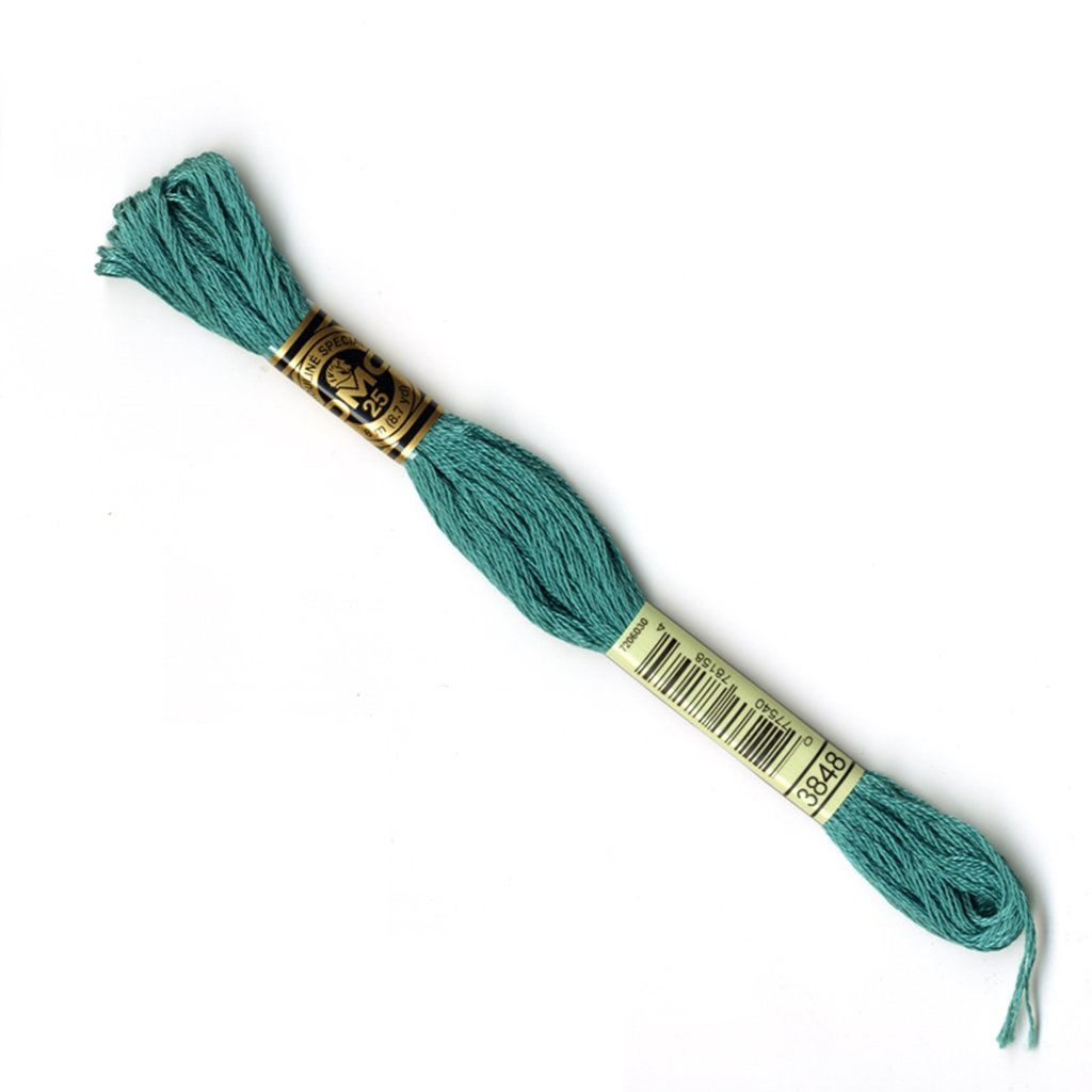 DMC Stranded Cotton Number 3848