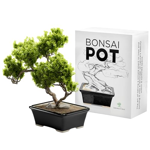Glazed Ceramic Bonsai Pot - Ceramic Planter for Succulents and Small Plants - Black Rectangular Pot Perfect for Indoor and Outdoor Gardens, Tables and Decor