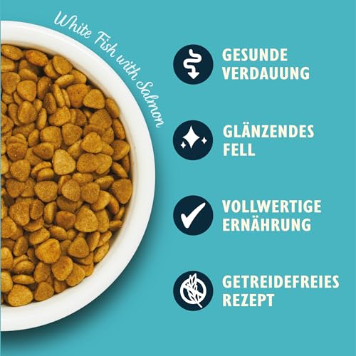 Lily's Kitchen Mit natürlichen Zutaten hergestellt Trockenfutter für ausgewachsene Katzen Weißfisch mit Lachs Getreidefreie Rezeptur 2kg
