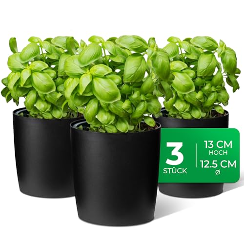 Novaliv Stilvolle 3er Set Kräutertopf aus Kunststoff Schwarz für...